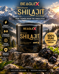 BeagleX Himalayan Shilajit Gold Resin 1