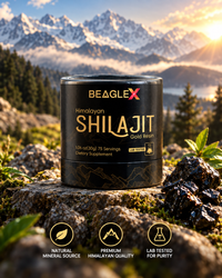 BeagleX Himalayan Shilajit Gold Resin 2