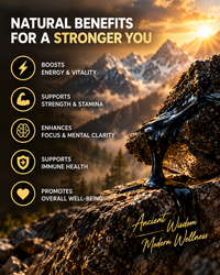 BeagleX Himalayan Shilajit Gold Resin 3